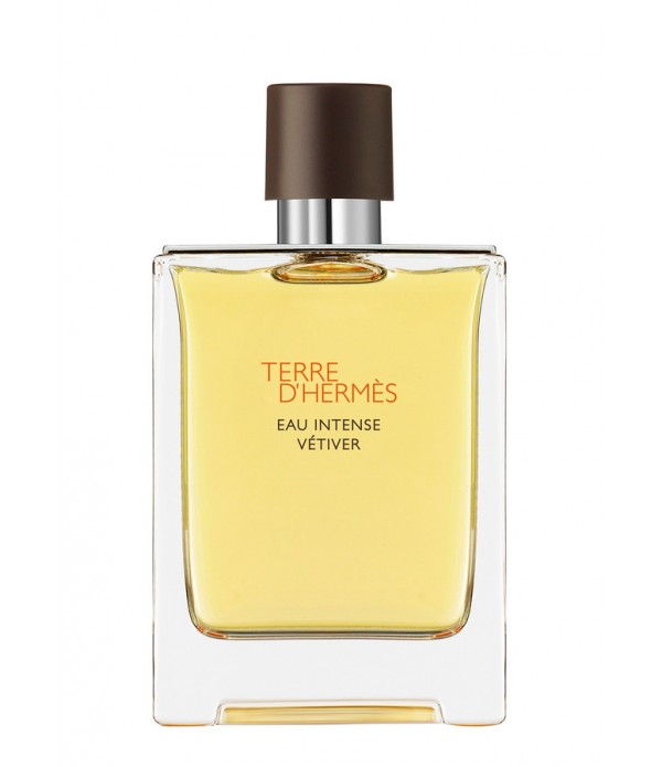 Hermès Terre Intense Vétiver WITHOUT BOX 100MM